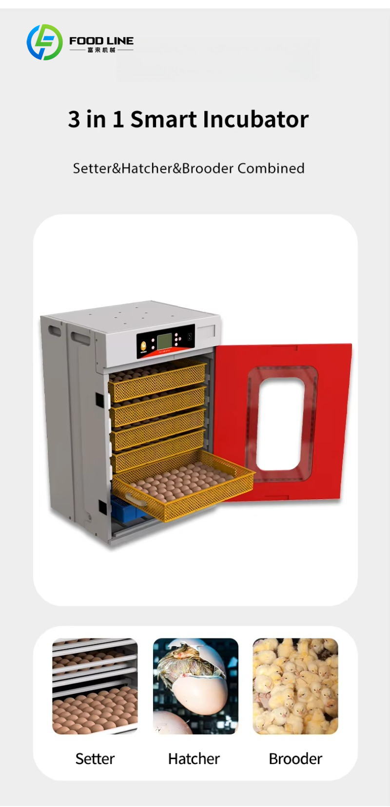 Nieuwe kwartel- en kippenbroed - Rotary Bakery Oven recensie en prijs
